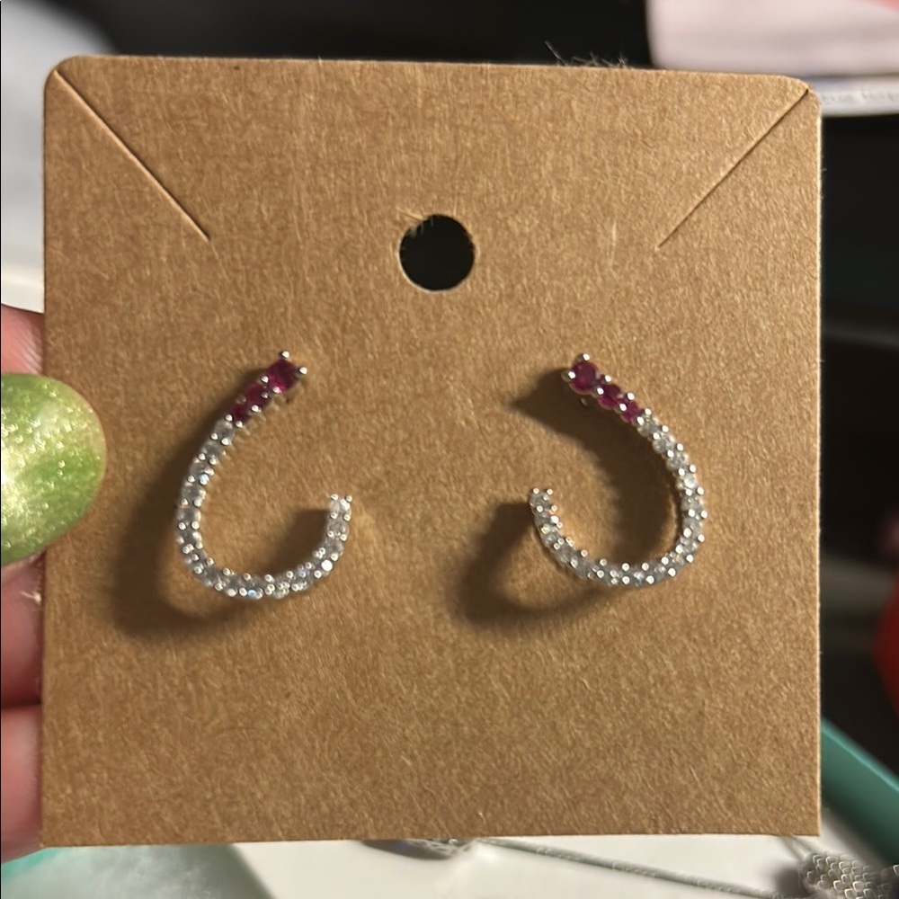 Elegant Silver and Hot Pink Hoop‎ Earrings